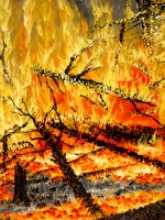 Metsäpalo - osa (Forest fire, partial) 